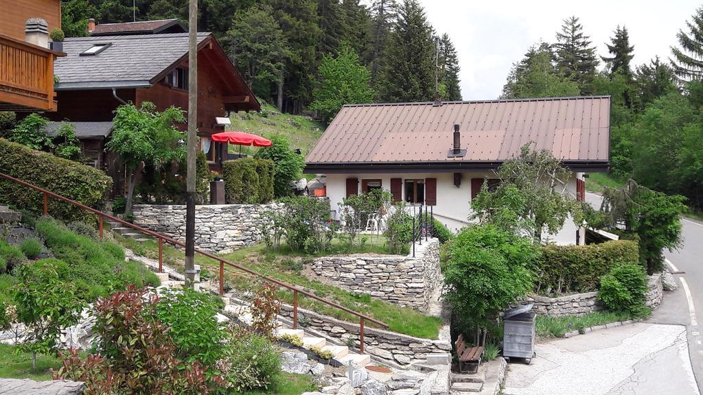 Les Loulou Appartamento Savièse Esterno foto